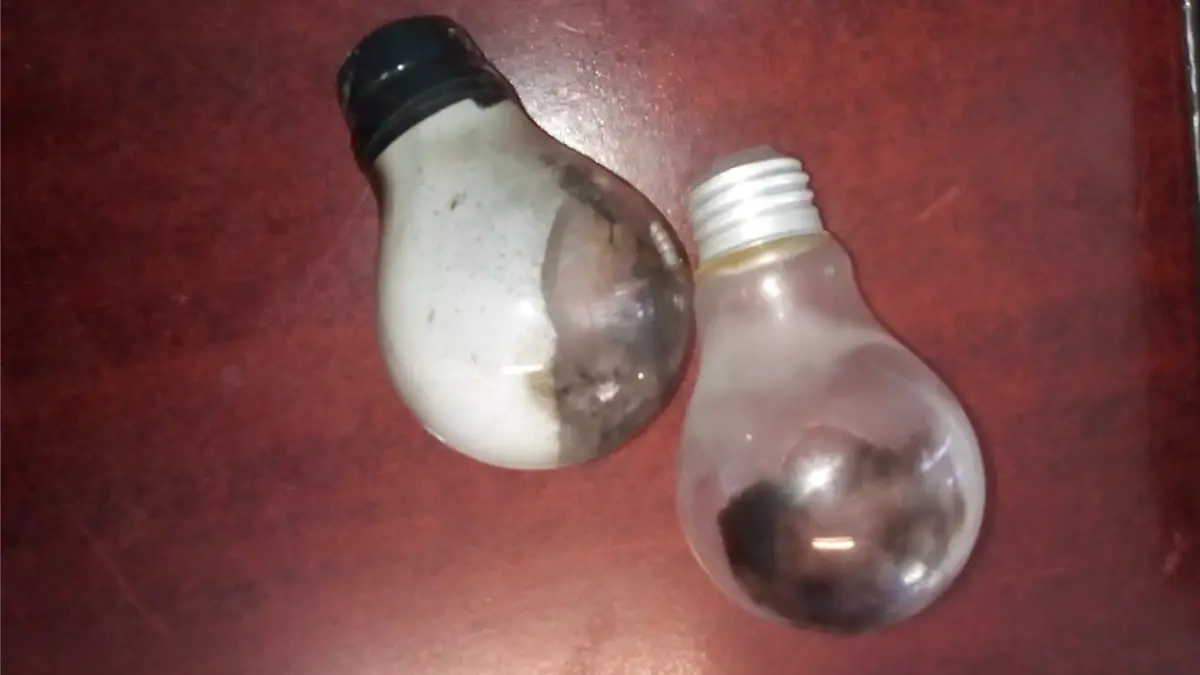 Captura de pantalla 2019-02-16 a la(s) 23.33.23