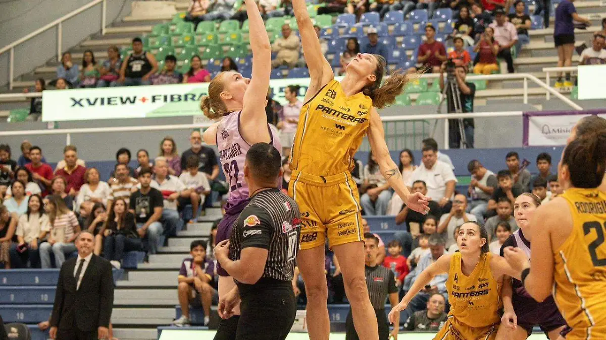 WhatsApp Image 2023-07-20 at 8.54.13 AM