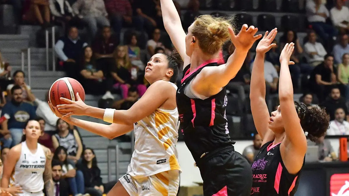 WhatsApp Image 2023-07-12 at 10.48.11 PM