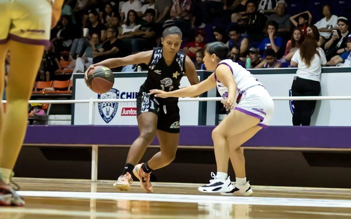 DEP03-IJGR-LOBAS SEMIS