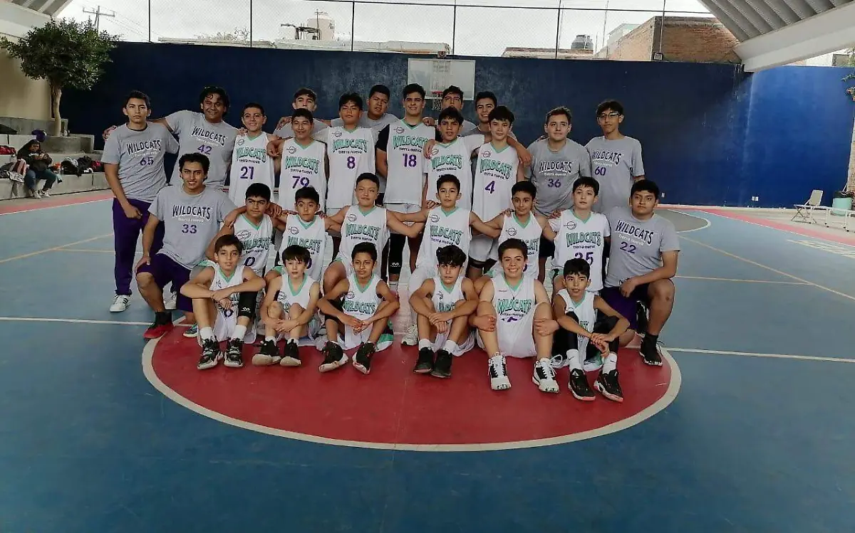 DEP03-IJGR-WILDCATS