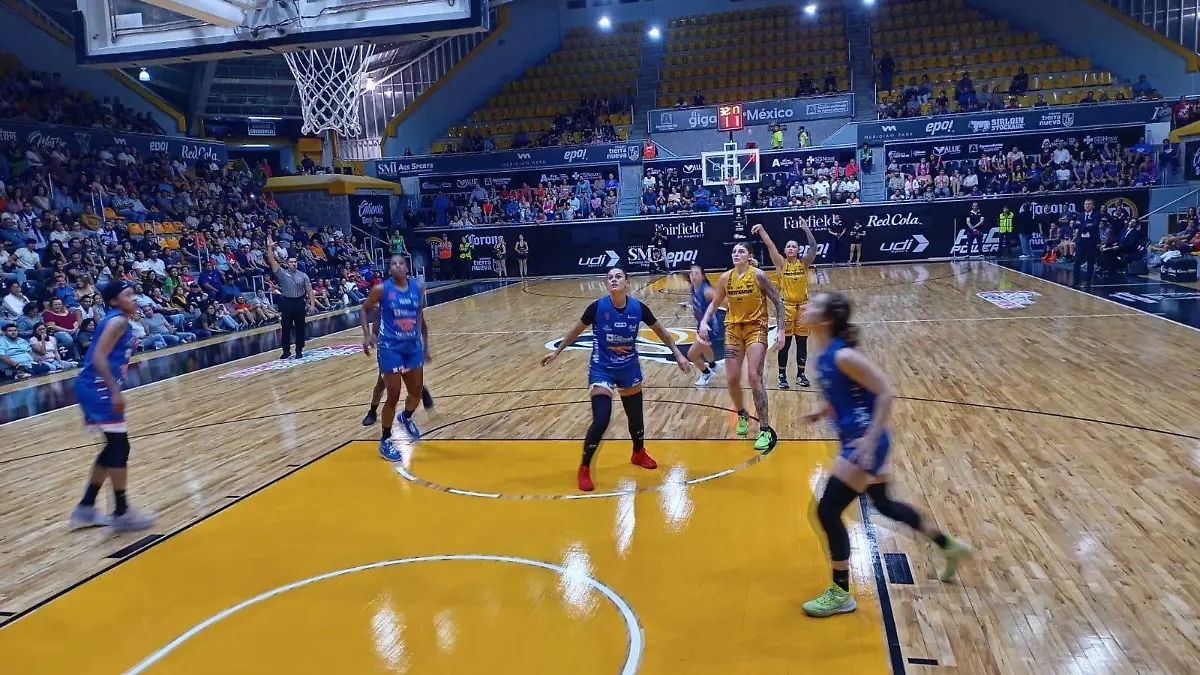 WhatsApp Image 2023-07-10 at 6.06.36 PM