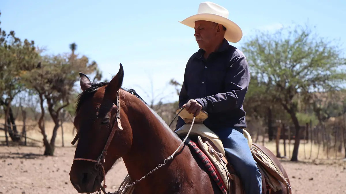 GANADEROS-APOYOS FEDERALES-CAMPO