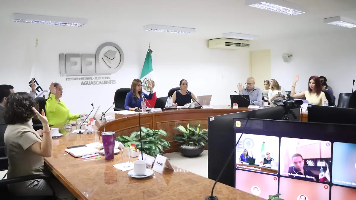 CONSEJO GENERAL-ELECCIONES