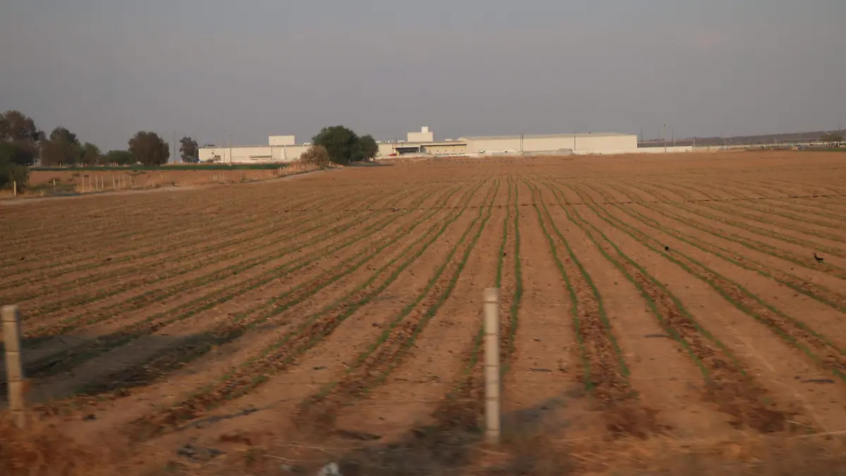 SEQUÍA-LLUVIAS-AGUASCALIENTES