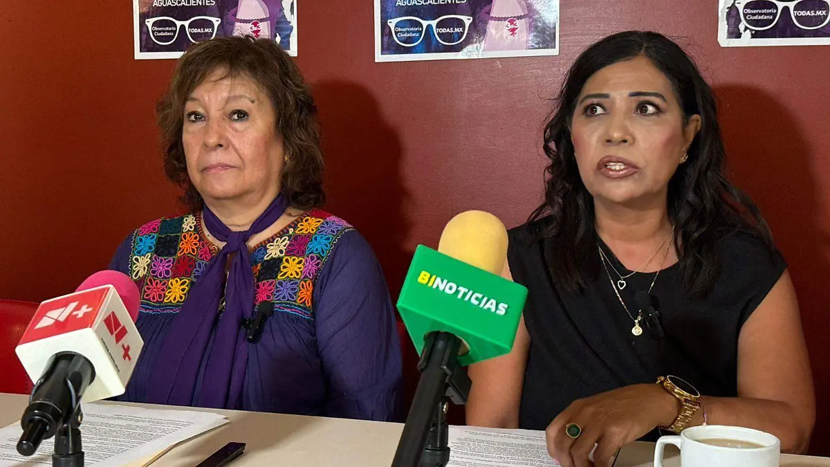 OBSERVATORIO CIUDADANO 1