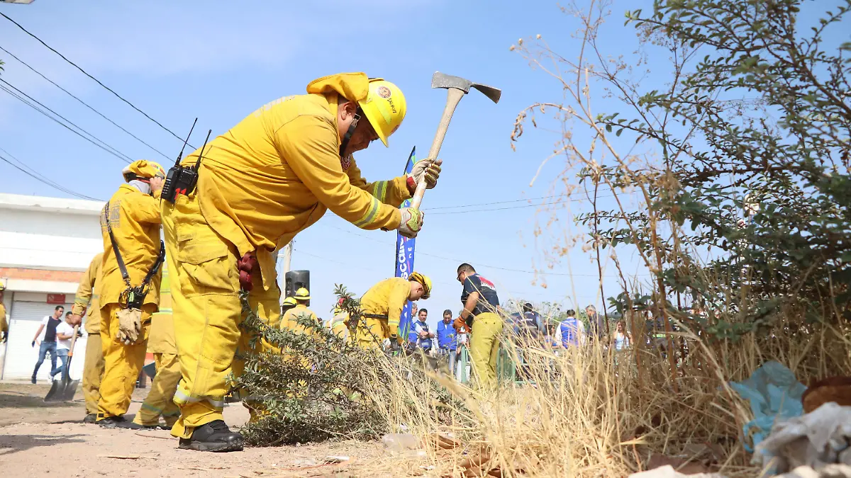 PROGRAMA ESPECIAL DE TEMPORADA DE LLUVIAS