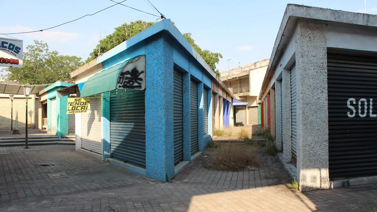 AGUASTIANGUIS-CENTRO COMERCIAL