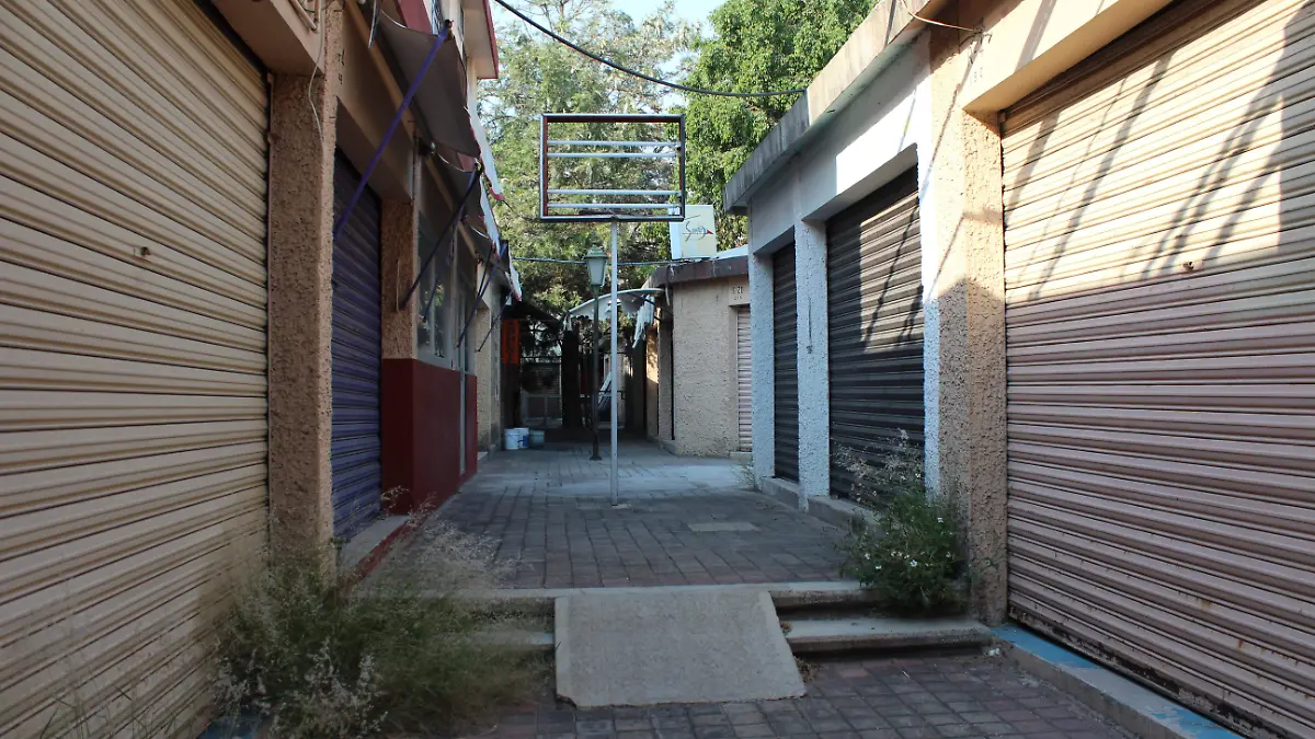 AGUASTIANGUIS-CENTRO COMERCIAL