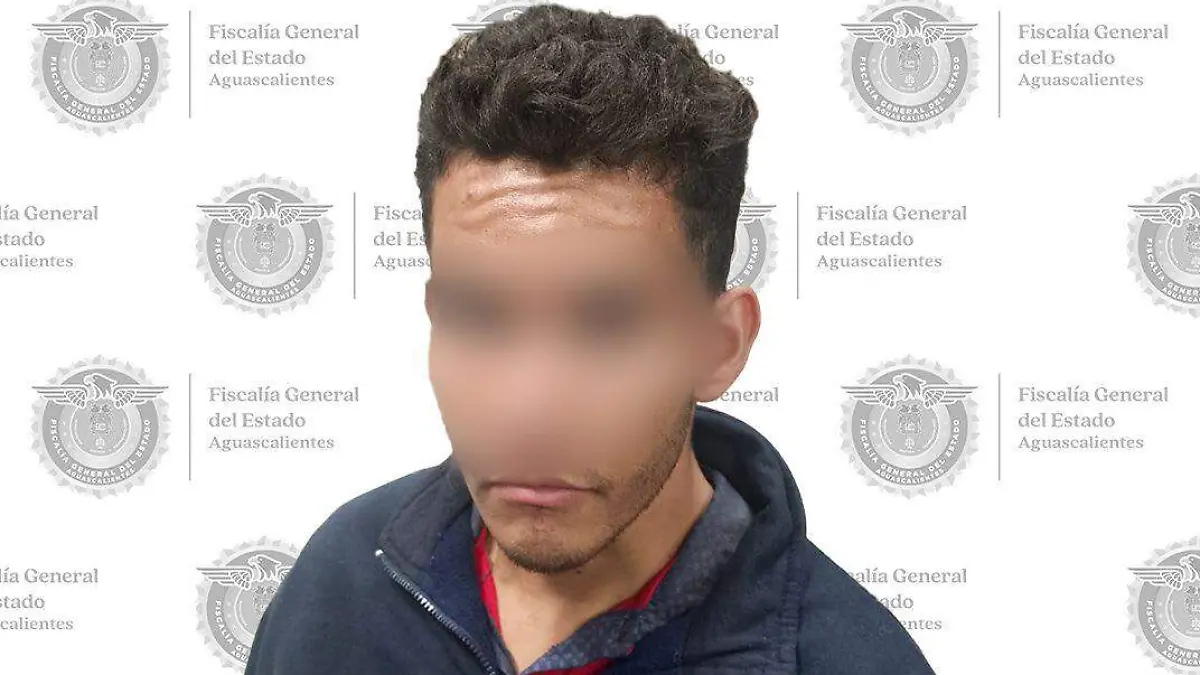 ROBO-DETENIDO-DELITOS