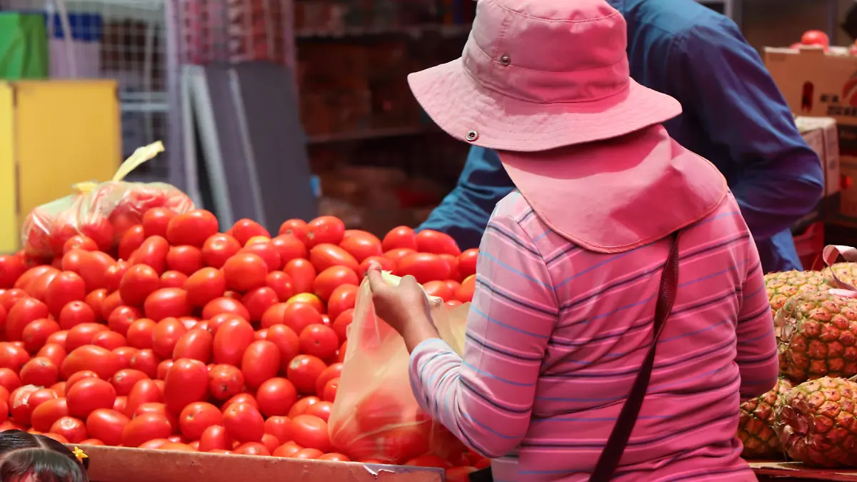 CANASTA BÁSICA-PRECIOS-FAMILIA