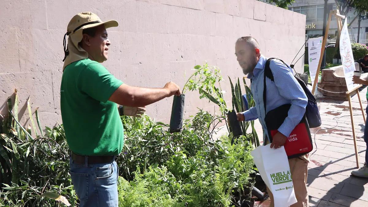 RECICLANDO APOYOS-PLANTITAS
