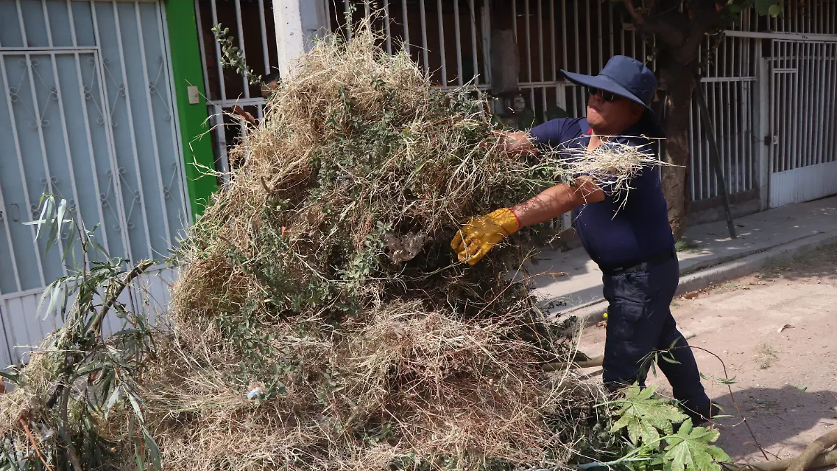 REPORTES-LLUVIAS-DAÑOS