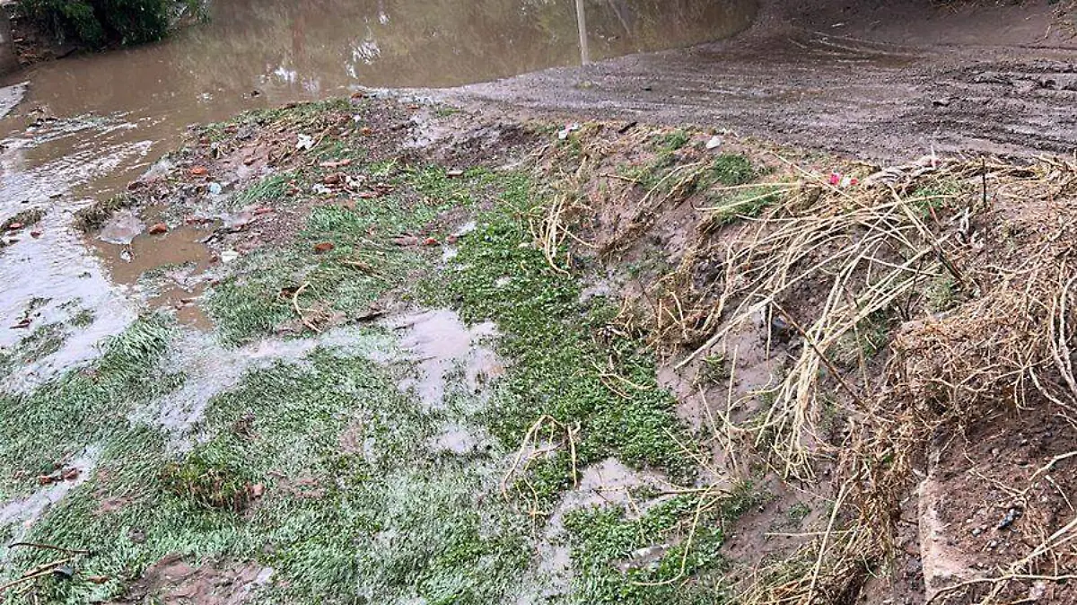 INUNDACION (4)