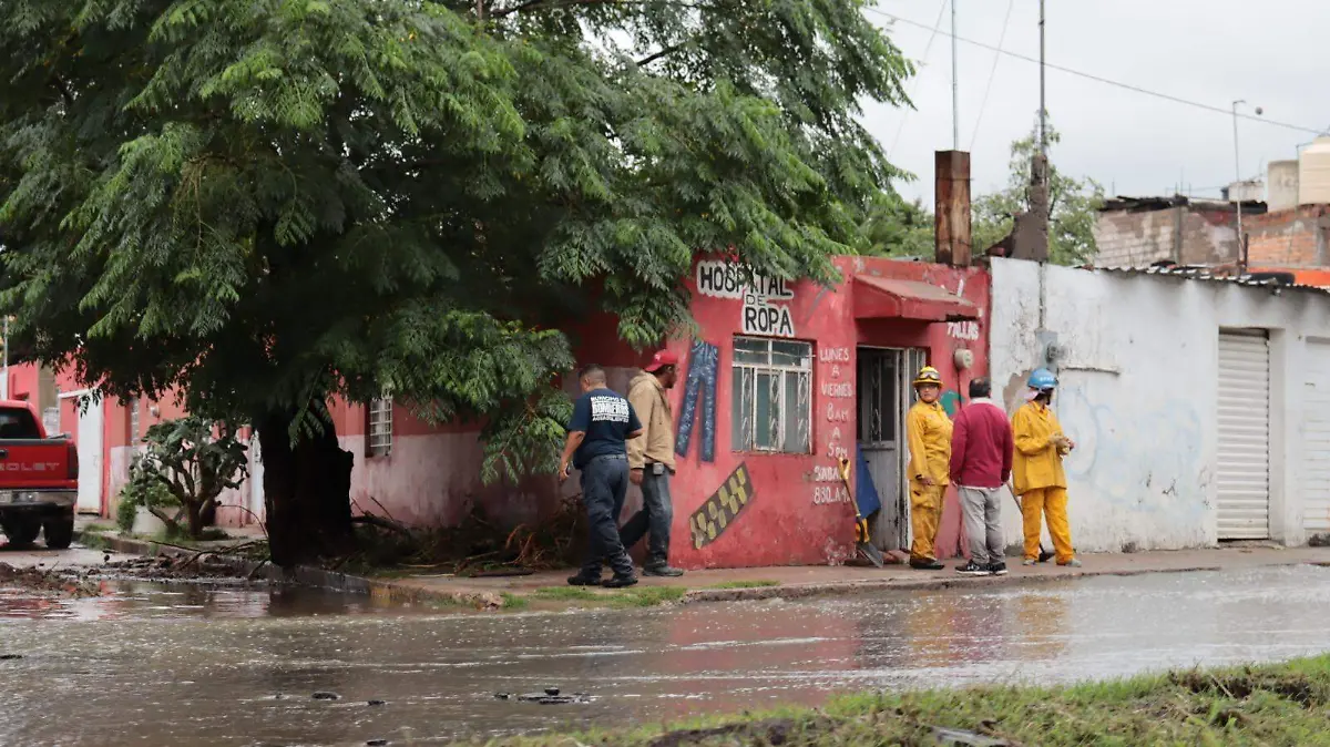 SEGURO HIDROMETEOROLÓGICO-LLUVIA