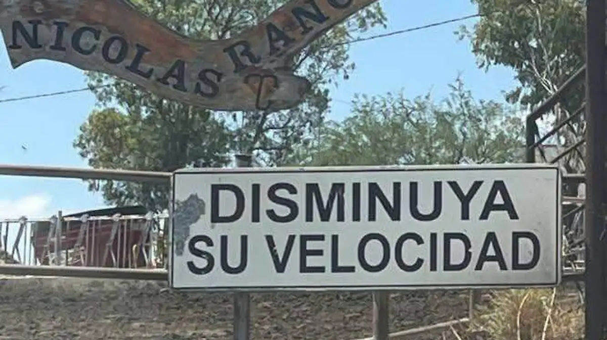 PERRITA ENVENENADA-AGUASCALIENTES