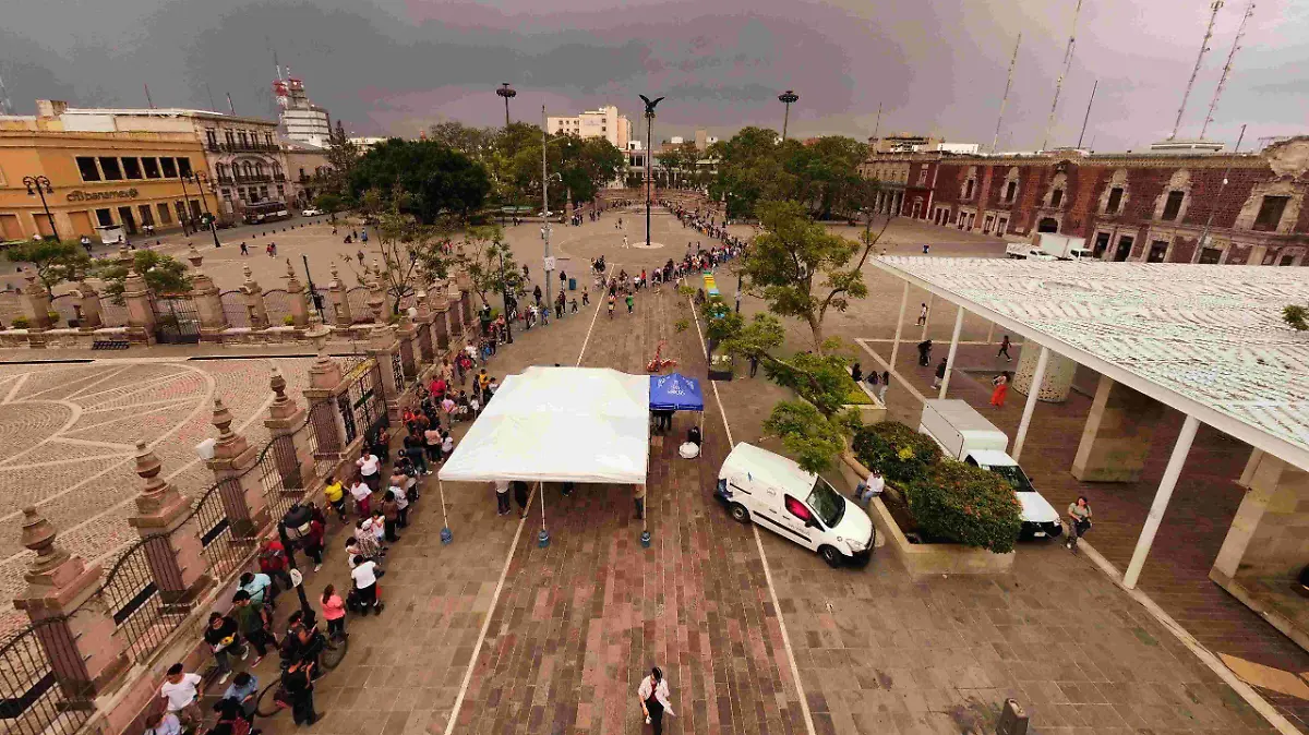 BOLILLO-CREMA-PANADEROS