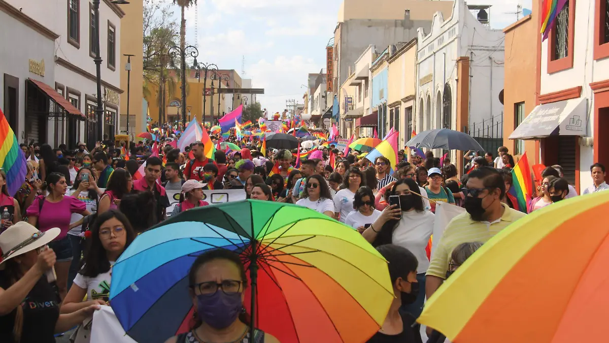 MARCHA-COMUNIDAD LGBT
