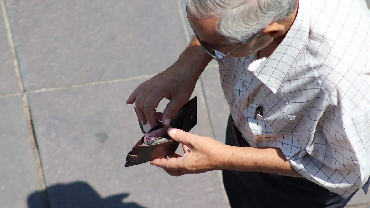 ECONOMIA DEL ESTADO_VIVIENDAS_MEXICANAS