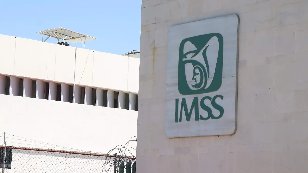 IMSS (2)