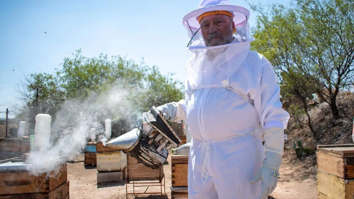 MIELEROS-PRODUCCIÓN