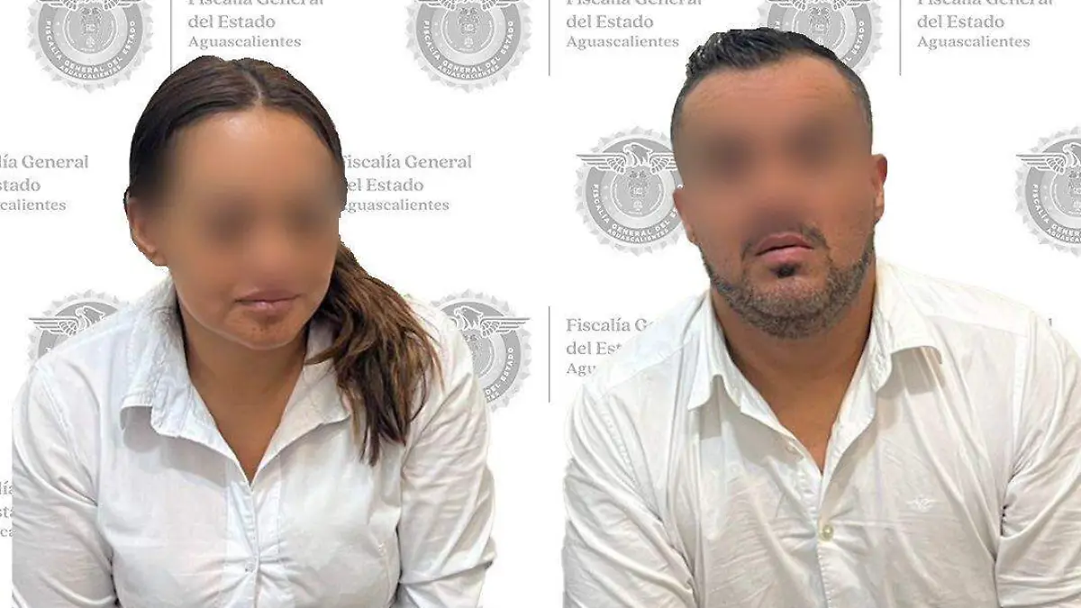 VERIFICADORES (1)