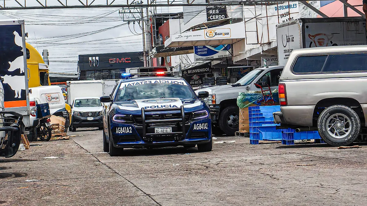OPERATIVO AGROPECUARIO (8)
