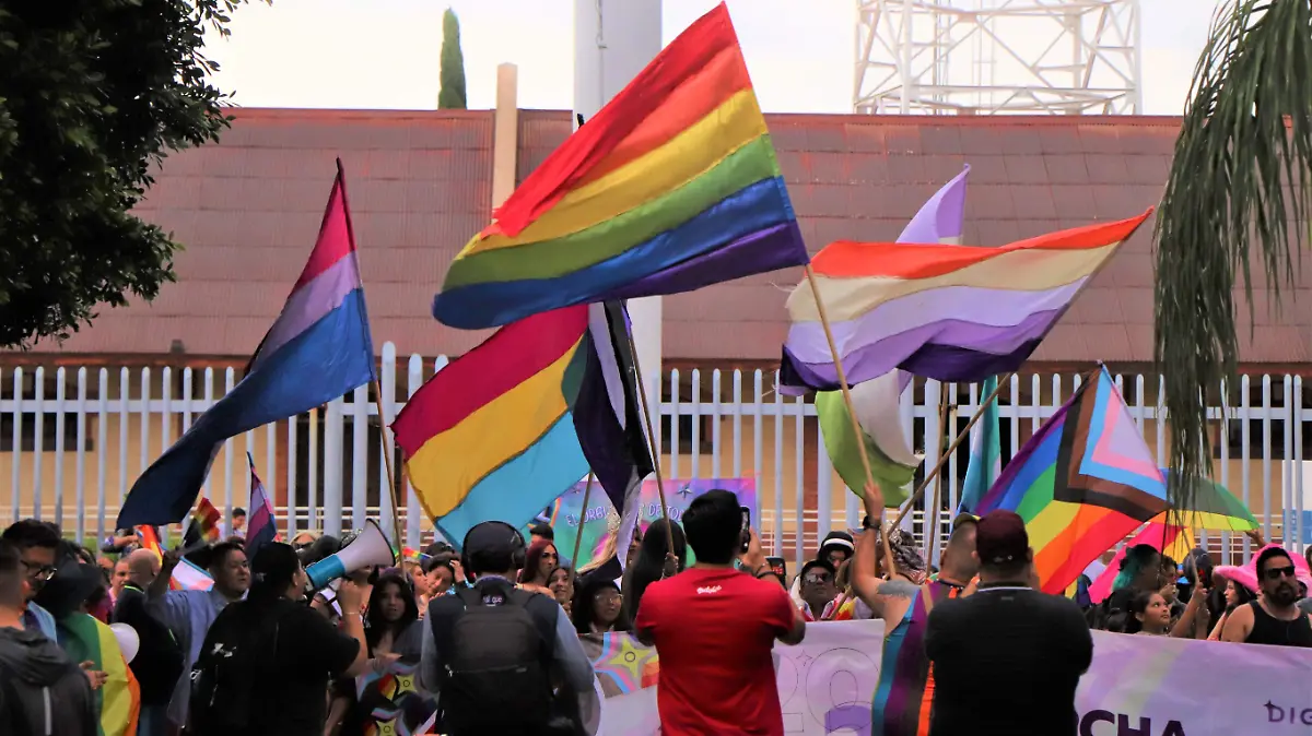 BANDERA-COMUNIDAD LGBT