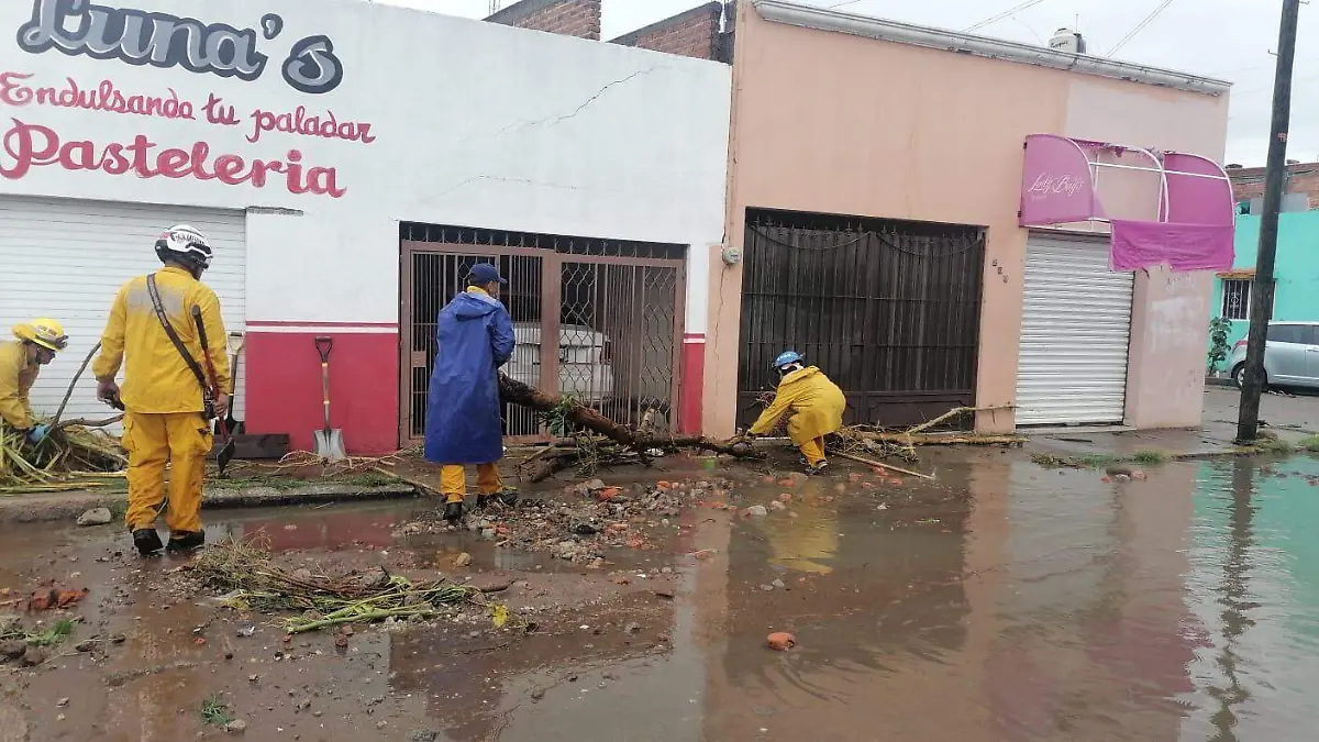 DAÑOS (1)