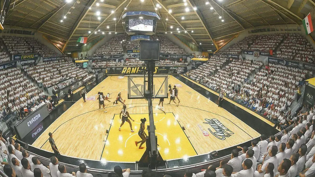 WhatsApp Image 2025-06-29 at 11.54.21 AM