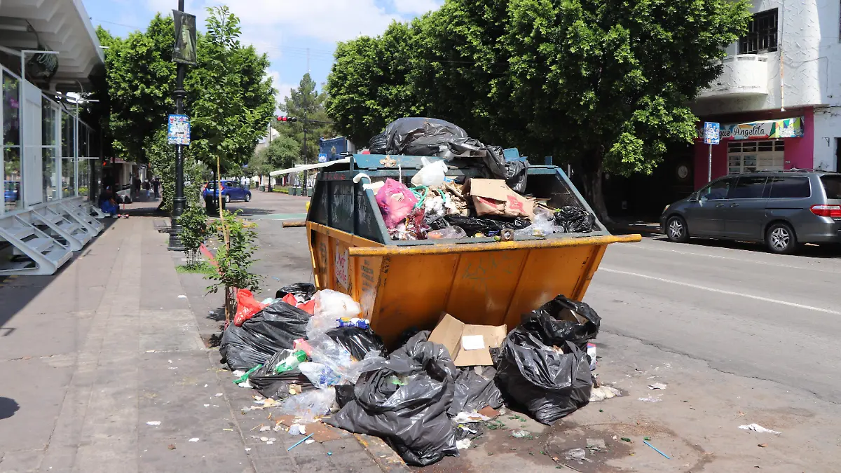RUTAS BASURA (8)
