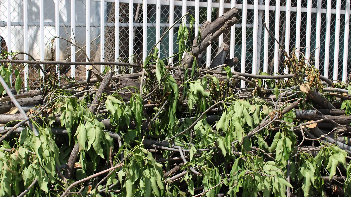 ESTRAGOS DE LLUVIA 3