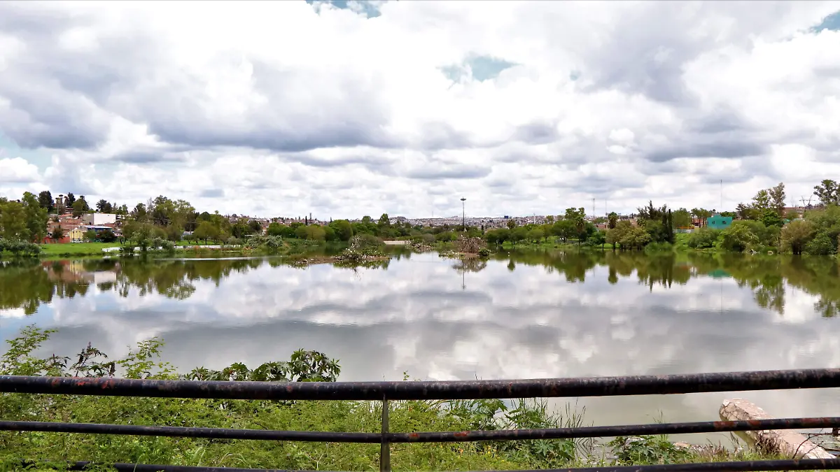 PRESA LOS GRINGOS-CAPACIDAD