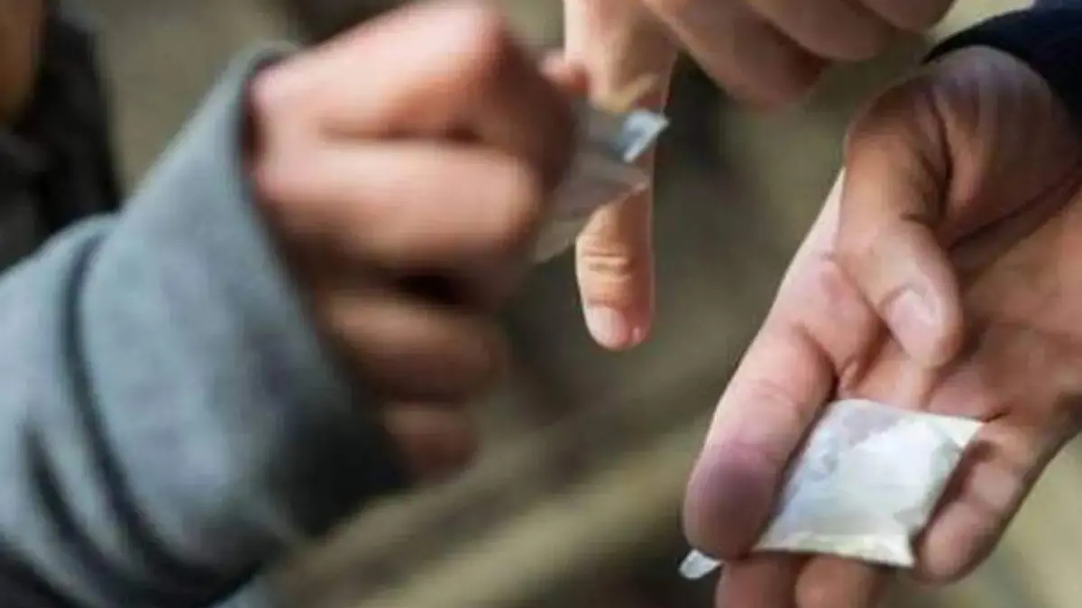 NARCOMENUDEO_GRUPOS DELICTIVOS