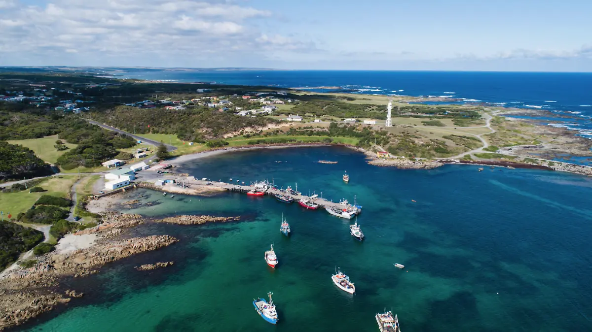 ISLA KING-FREDERICK VALENTICH