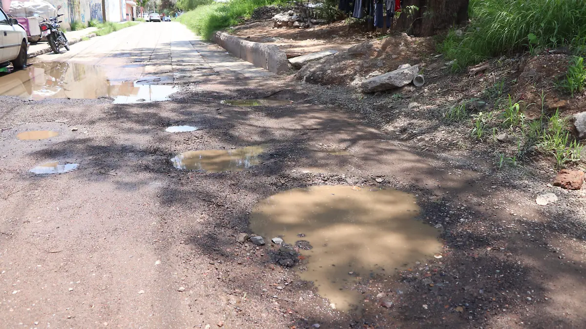 BACHES (4)
