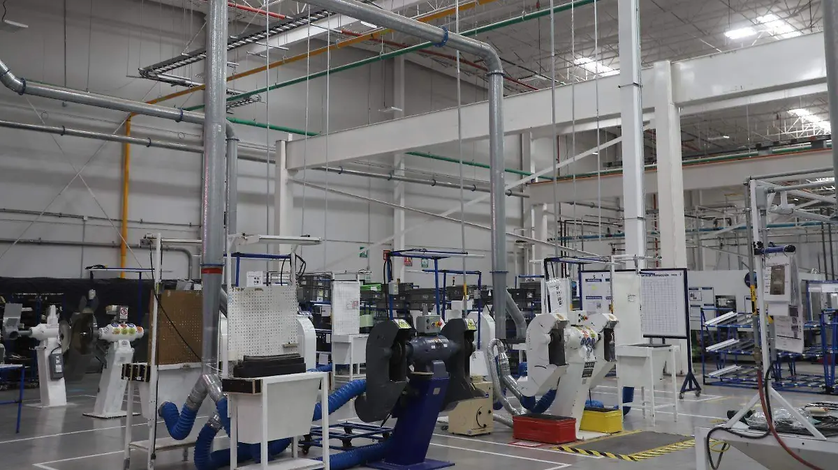 EXPORTACIONES-TERE JIMÉNEZ-ECONOMÍA