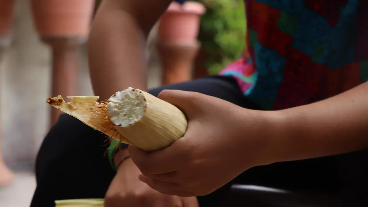 MAIZ_VARIEDAD_COMIDA MEXICANA_ELOTE