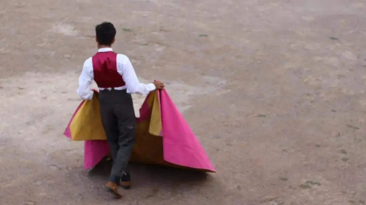 CORRIDAS TOROS (1)