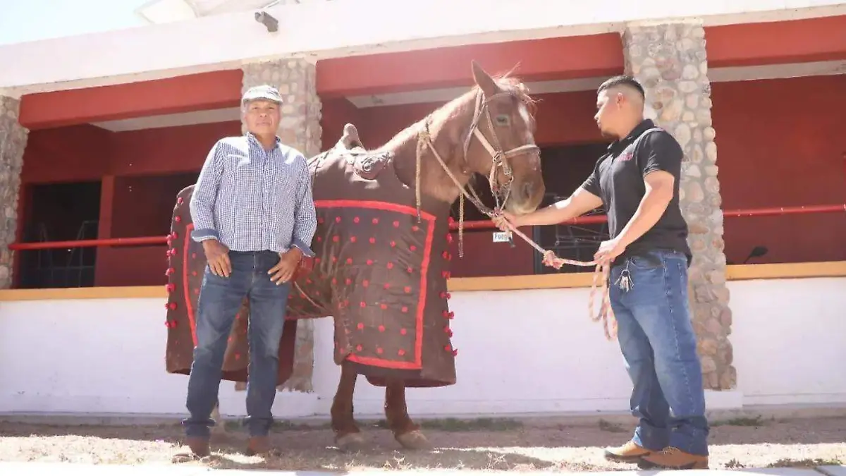 CORRIDAS TOROS_TAUROMAQUIA