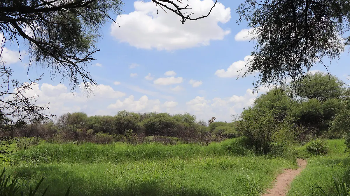 LA PONA_MEZQUITERA_COMPRA Y VENTA