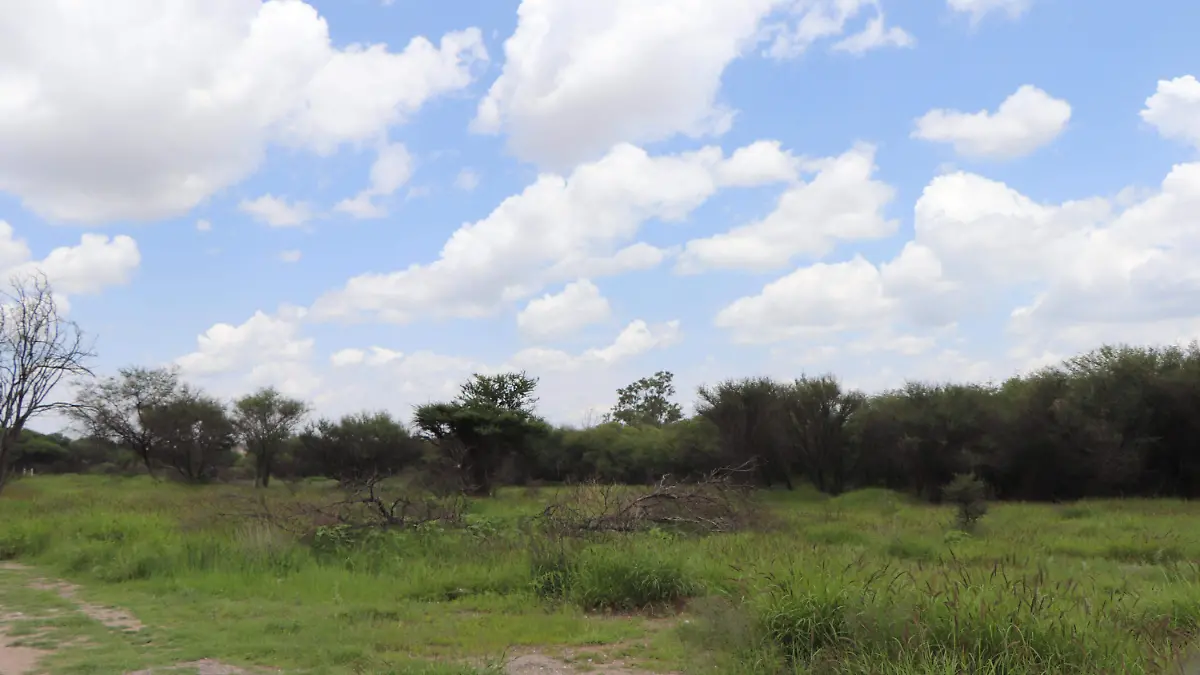 LA PONA_MEZQUITERA_COMPRA Y VENTA