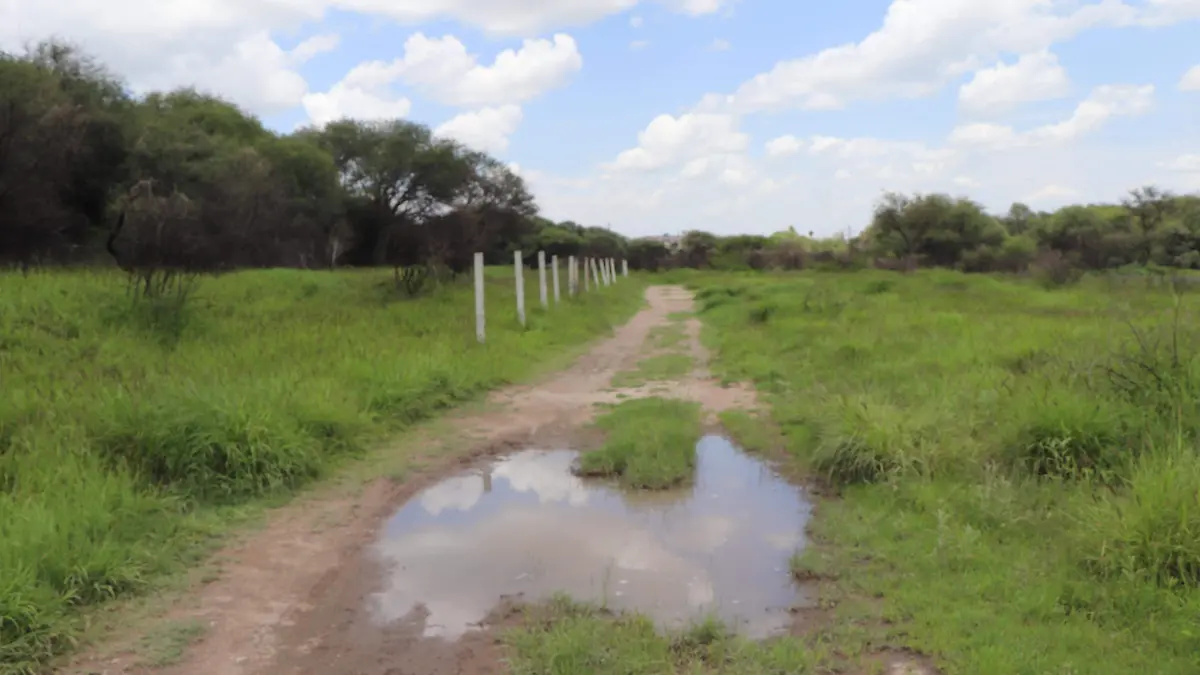 LA PONA -PROTECCIÓN-VIGILANCIA