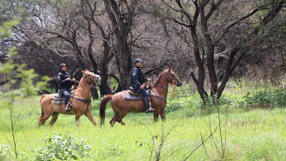 VIGILAN-PONA-SEGURIDAD