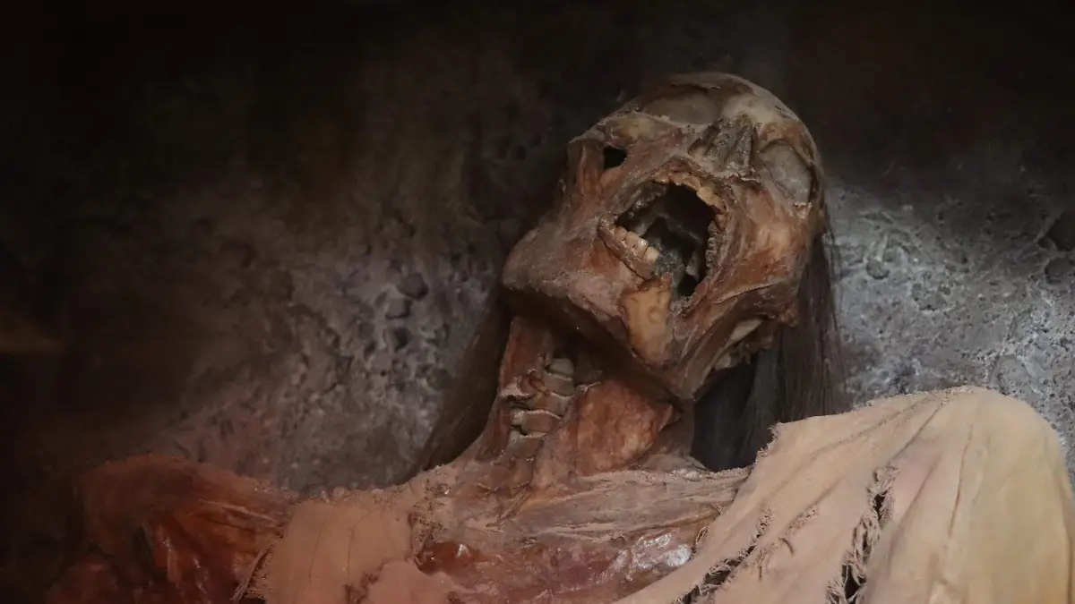 MOMIAS DE GUANAJUATO_AGS