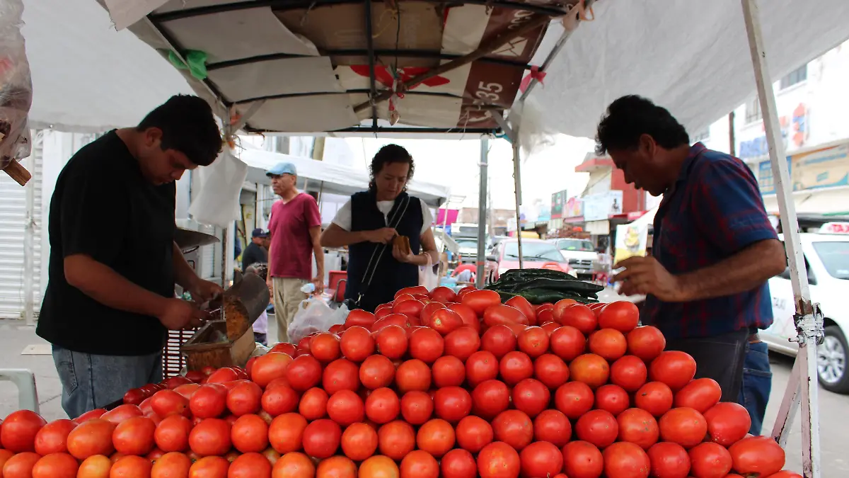 JITOMATE_AGRICULTURA_ARANCELES