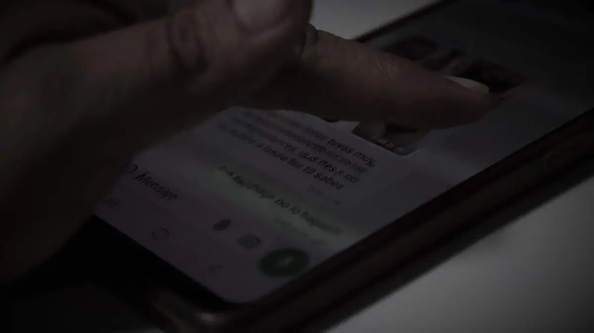 CIBERACOSO-AGRESOR-DELITOS