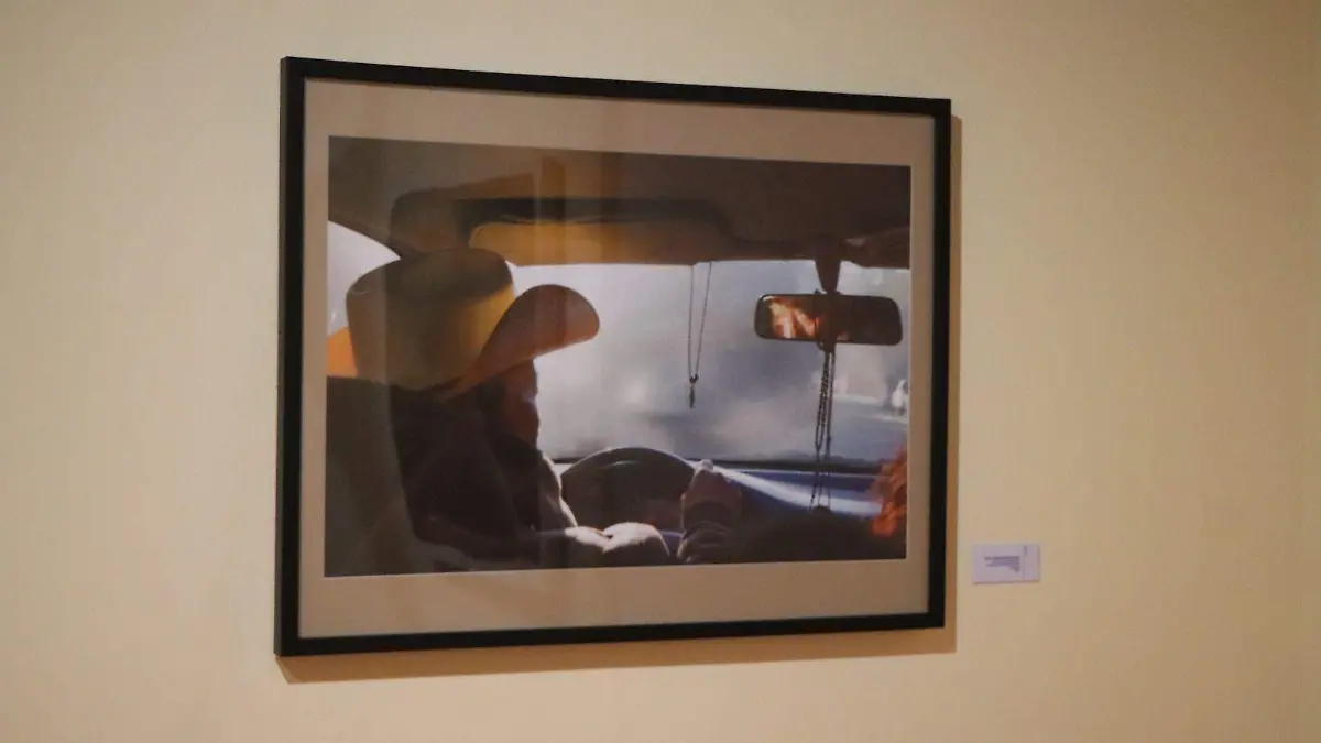 GALERÍAS DE ARTE_OBRAS DE ARTE