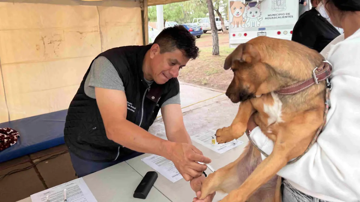 Captura de pantalla 2025-07-20 a la(s) 12.48.31