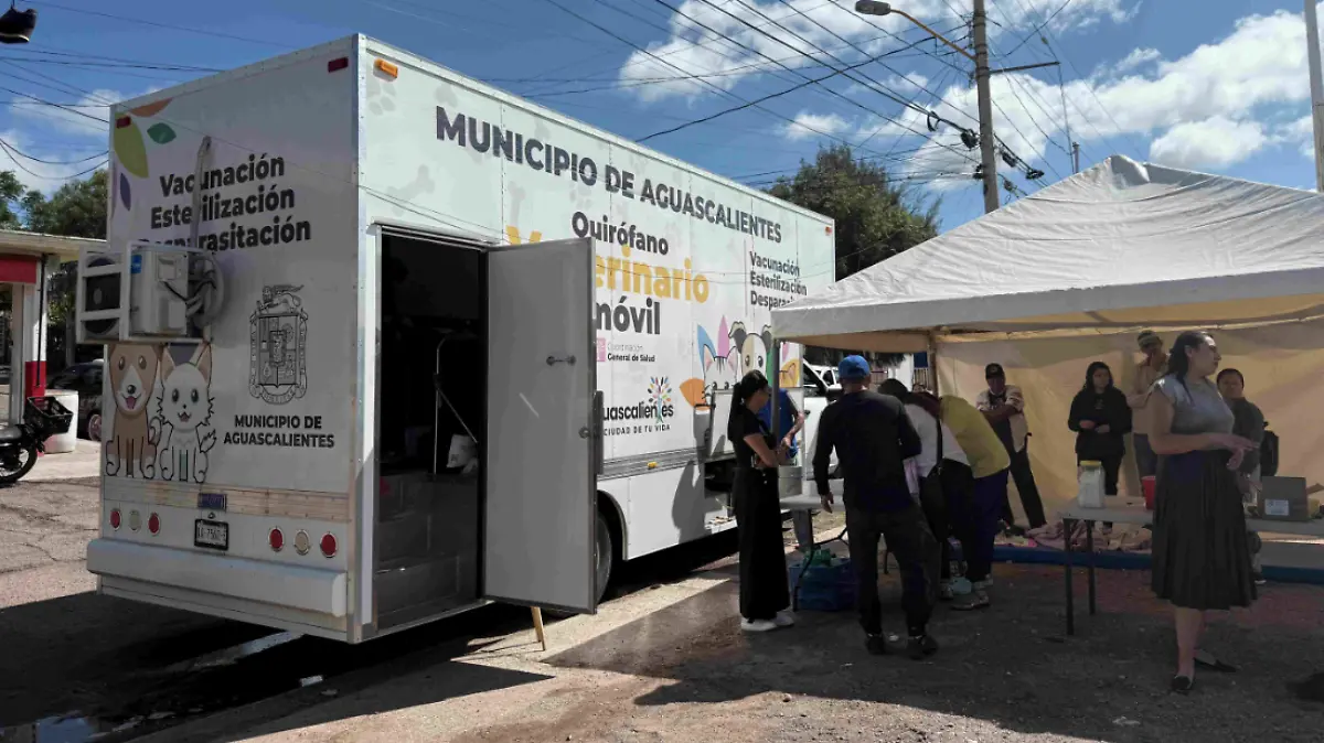 VACUNACIÓNM-MASCOTAS-SERVICIOS